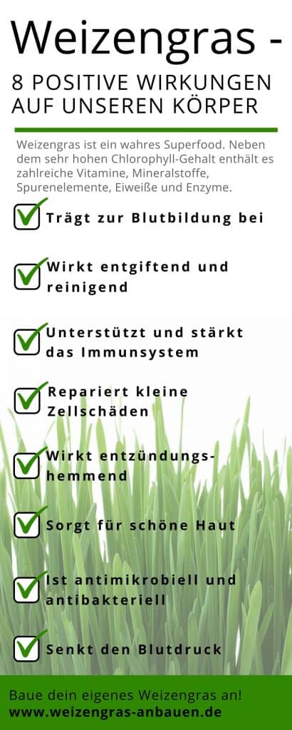 Weizengras - 8 positive Wirkungen Infografik